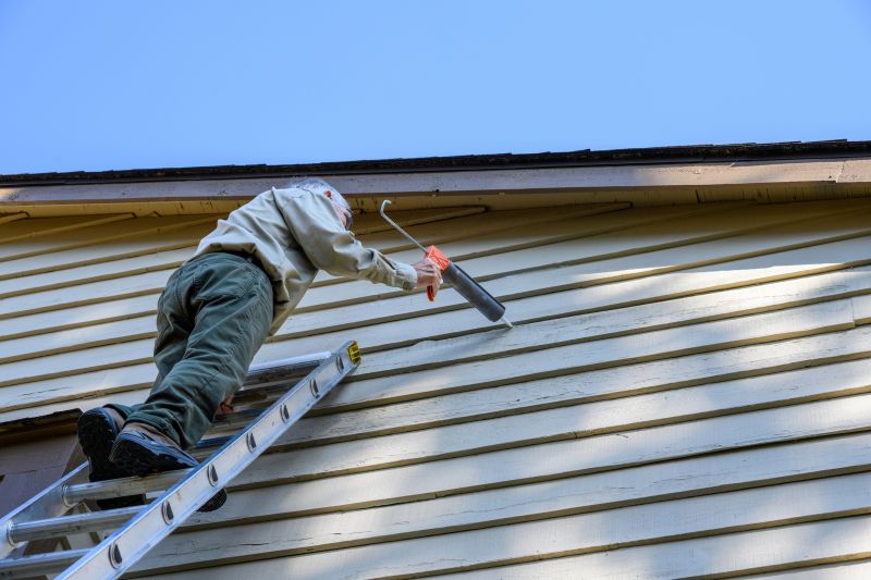 Professional Siding Fixing